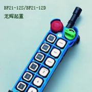 _(ti)b-BF21-12D/BF21-12s Yuding explosion proof remote controller