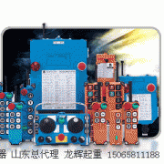 _(ti)b F24-8S  Taiwan Yuding remote controller  F24-8S