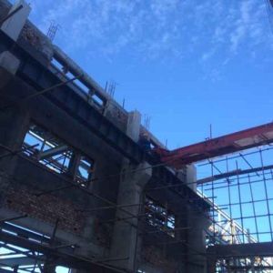 x˾ؙCbF installation site image of Longhui crane powe ...